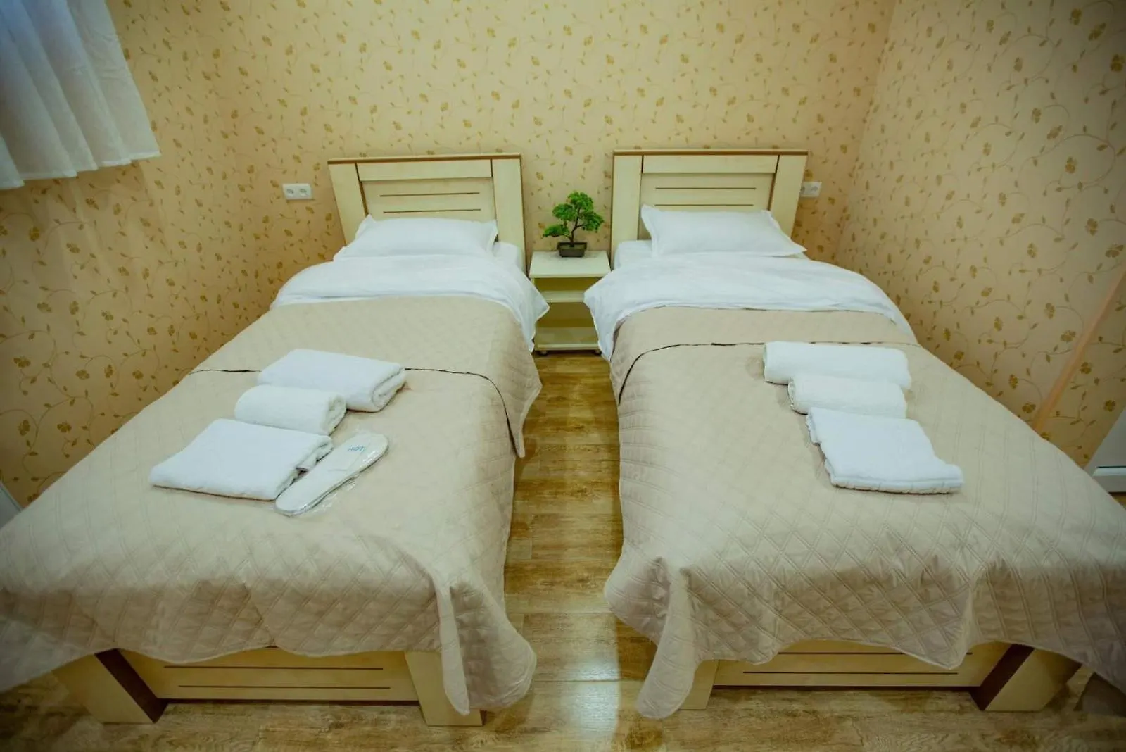 Tbilisi Town酒店 4*,